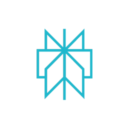 Icono representativo de Perplexity IA